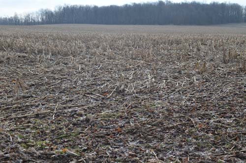 Property photo 71 - 98+/- Acres Offered in 6 Tracts or Combinations, Noble County, Indiana Farm